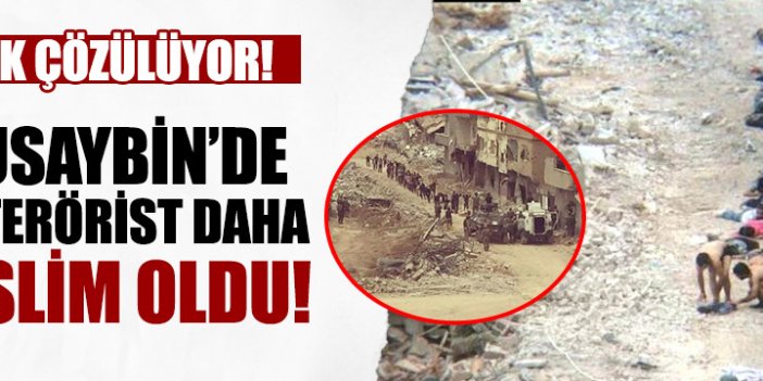 Nusaybin'de 42 PKK'lı Terörist Daha Teslim Oldu