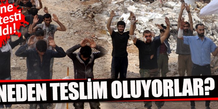 PKK'lılar neden teslim oluyor?
