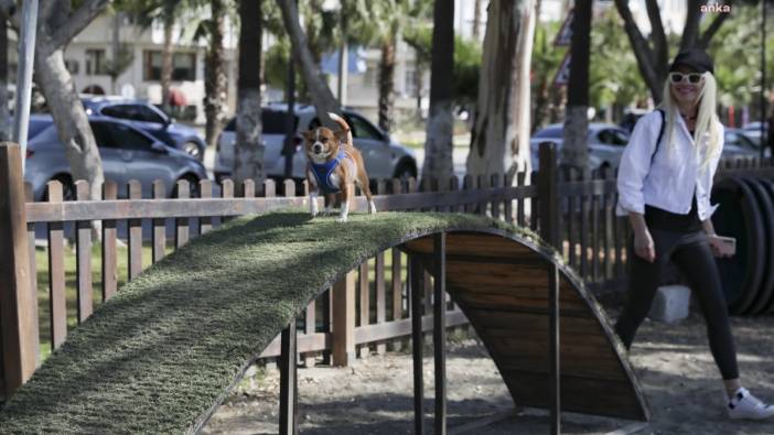 Mersin'de köpek oyun alanı patili dostlar için eğlence oluyor