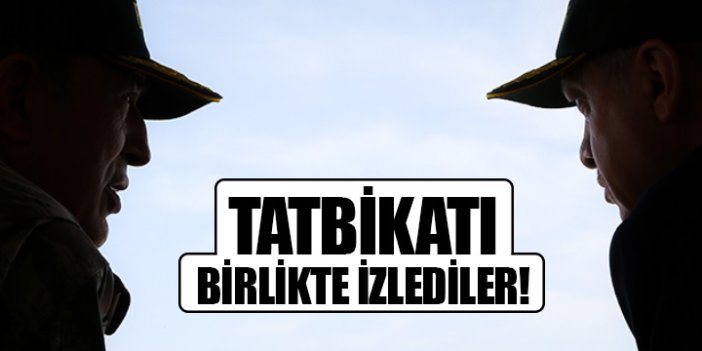 Cumhurbaşkanı ve Başbakan Efes 2016 Tatbikatı'nda