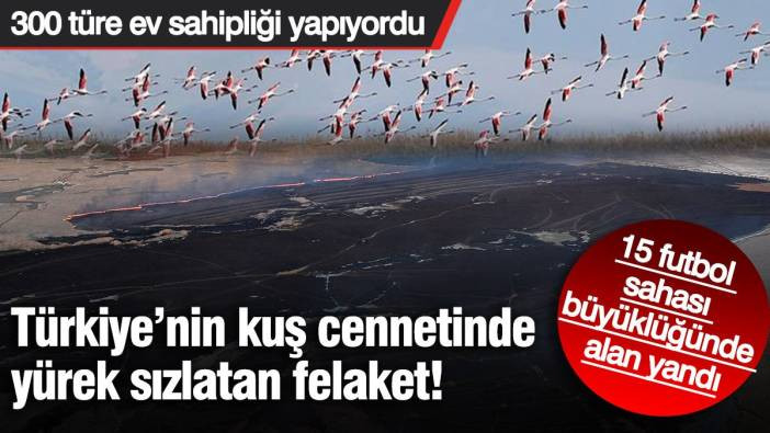 Sultan Sazlığı Milli Parkı'nda yangın felaketi! 15 futbol sahası büyüklüğünde alan yandı: 300 türe ev sahipliği yapıyordu