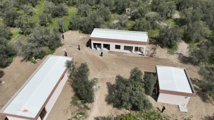Antandros Antik Kenti’nde inceleme
