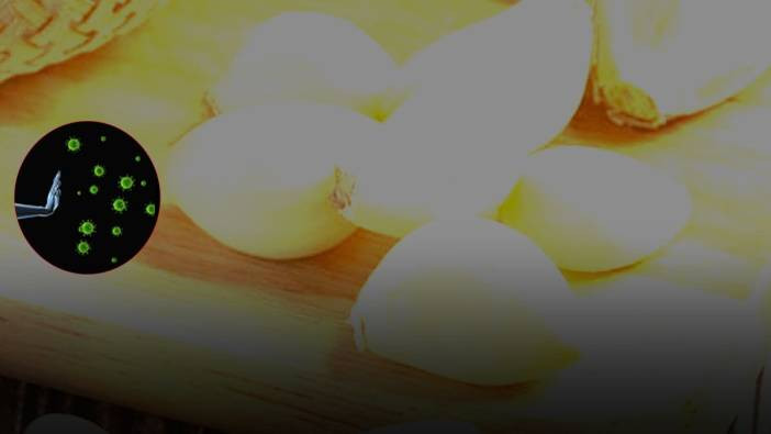 Mikroplara karşı dört doğal silah! Doğanın antibiyotikleri