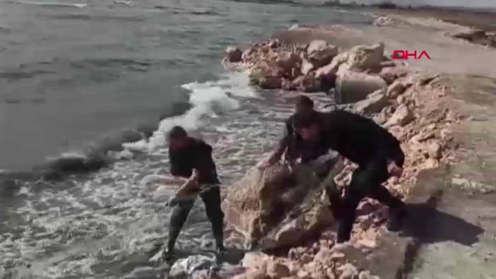 Van’da kaçak avlanan inci kefalleri ele geçirildi