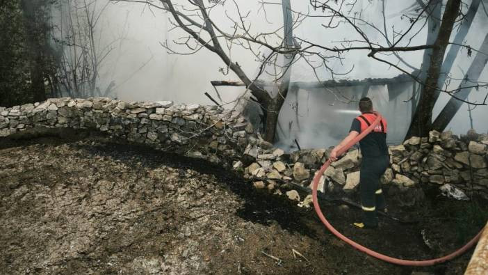 Kütahya'da yangın! Onlarca hayvan telef oldu