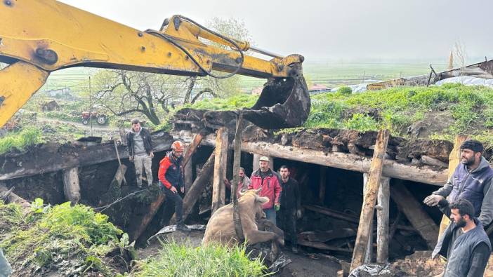 Ardahan'da ahır çöktü, 3 inek telef oldu
