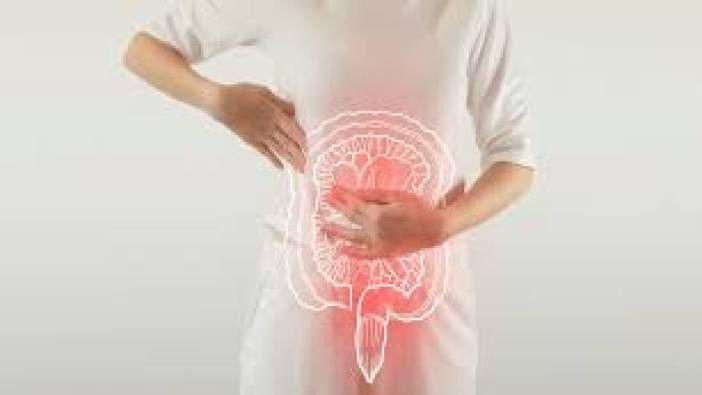 Bağırsakların şaşırtıcı gücü! Bağırsak-beyin ittifakı