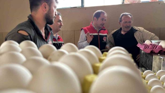 Yumurta tavukçuluğu sektöründe yeni yatırımlar