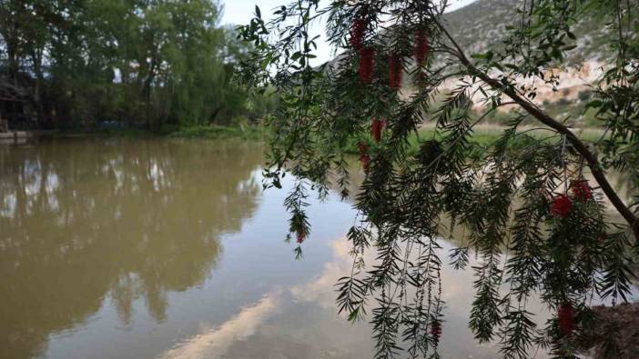 Yağmurlarla birlikte su seviyesi arttı