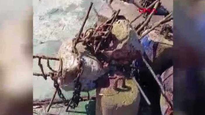 Bodrum’da şoke eden durum! Denizden 50 ton çıkartıldı