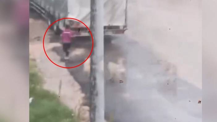 Başıboş köpekler çocuğa saldırdı! O anlar kamerada...