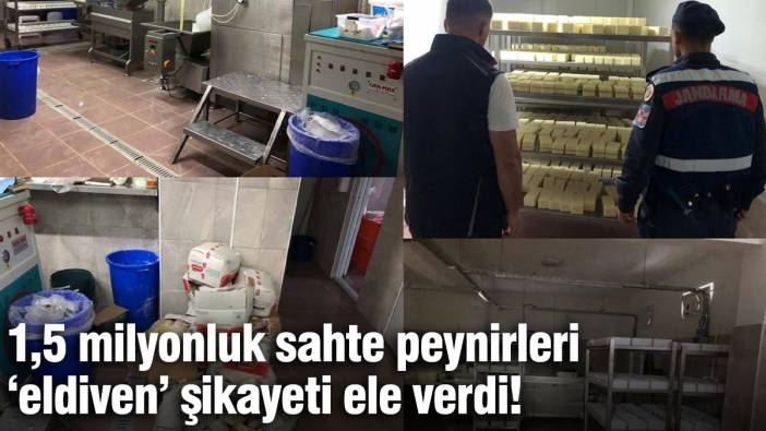1,5 milyonluk sahte peynirleri 'eldiven’ şikayeti ele verdi!
