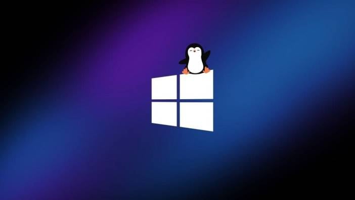 Microsoft'tan açık kod hamlesi: WSL kaynak kodları erişime açıldı
