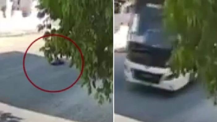 Dehşet anları kamerada: Yolda yatan köpeği göz göre ezdi