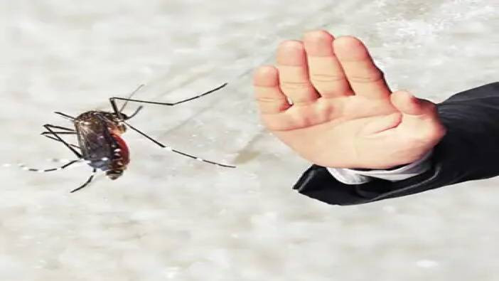 Sivrisinek, kene ve diğer haşerelerden korunma yöntemleri! Uzmanlar ve bilim bakın ne diyor