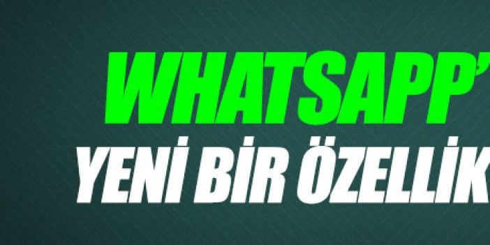 WhatsApp'a artık o özellik de eklendi!