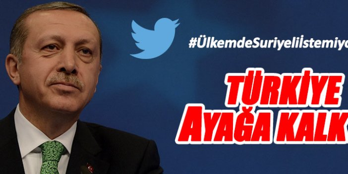 Erdoğan'ın Suriyelilerle ilgili açıklamalarına tepki yağdı!