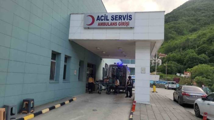 Kastamonu’da akrebin soktuğu kadın hastanelik oldu