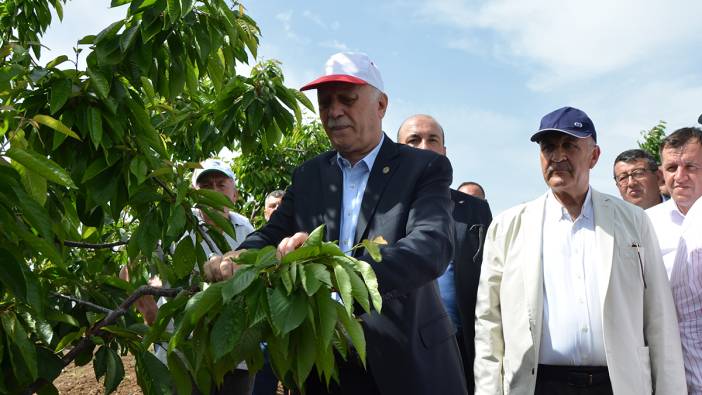 Zirai don vurdu! Fiyatı ateş pahası oldu: Yemek lüks oldu