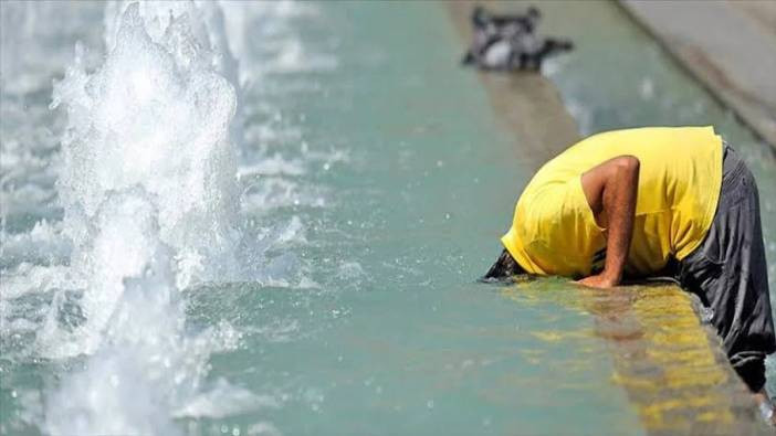 Yaz sıcağında masum görünen 4 tehlikeli besin! Uzmanlar uyarılarını sıraladı