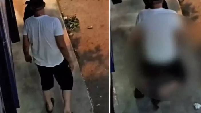 İstanbul'da bir kişi köpeğe tecavüz etti
