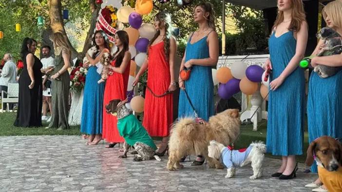 Ankara'da engelli hayvanlar için defile düzenlendi