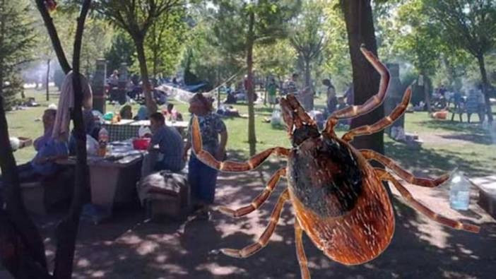 Piknikte keneye karşı alınacak önlemler! Uzmanlardan hayat kurtaran uyarılar