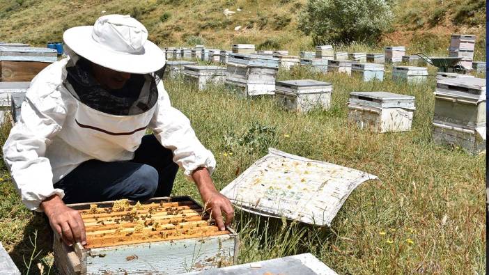 Bal üretimi alarm veriyor!  Arı üreticileri şok oldu