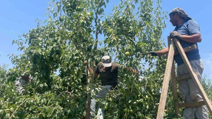 Heyecanlandıran açıklama geldi, ilk fiyatlar belli oldu!