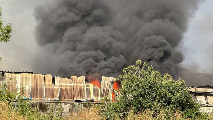 Kocaeli'de geri dönüşüm tesisindeki yangın