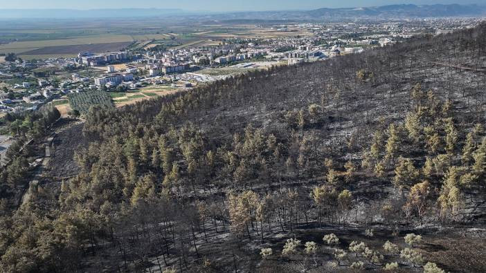 Hatay'da yangından etkilenen alanlar görüntülendi