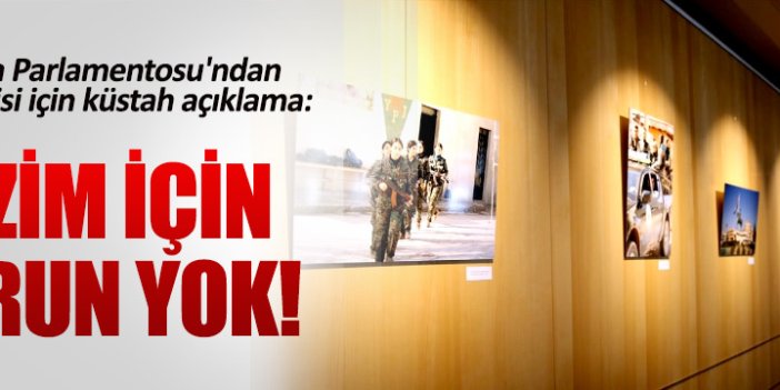 Avrupa Parlamentosu'ndan küstah PKK sergisi açıklaması