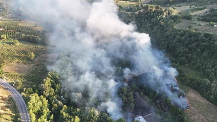 Milas'ta orman yangını! Havadan karadan müdahale ediliyor