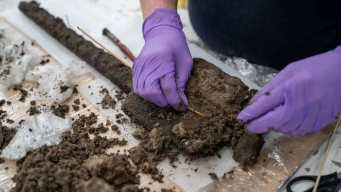 300.000 yıllık keşif heyecan yarattı: Marangozluğun tarihi yeniden yazılıyor