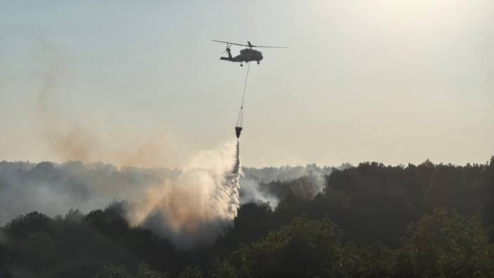 Kocaeli'de ormanlık alanda çıkan yangın kontrol altına alındı