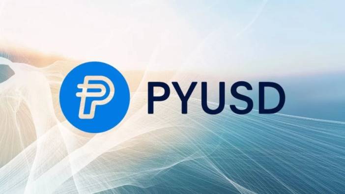 PayPal'dan dijital para atağı