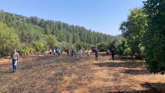 Burdur'da 1 dönüm alan kül oldu
