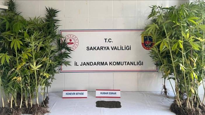 Jandarma uyuşturucuya geçit vermiyor!