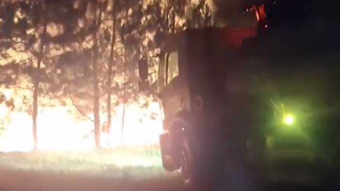 Bolu’da örtü yangını ormana sıçramadan söndürüldü