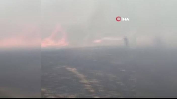 Buğday tarlası alev alev: Ormana sıçradı!
