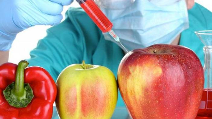 İSTİB'in Borsa Meydanı toplantısında "GDO" ele alındı