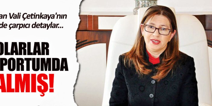 Tutuklanan Vali Çetinkaya'nın dolar savunması