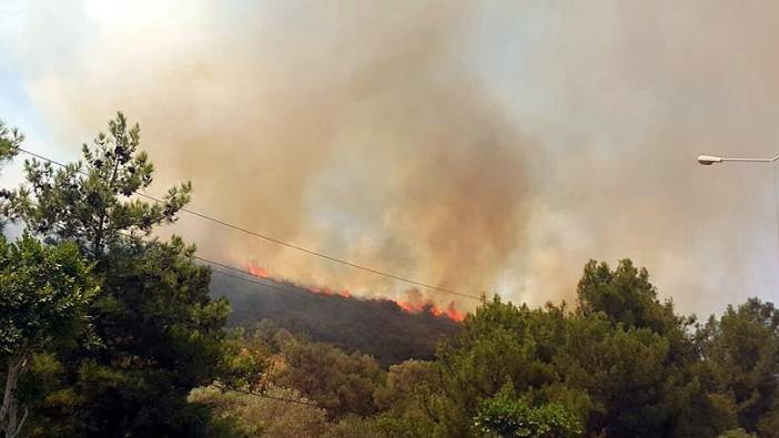 Bodrum'da orman yangını