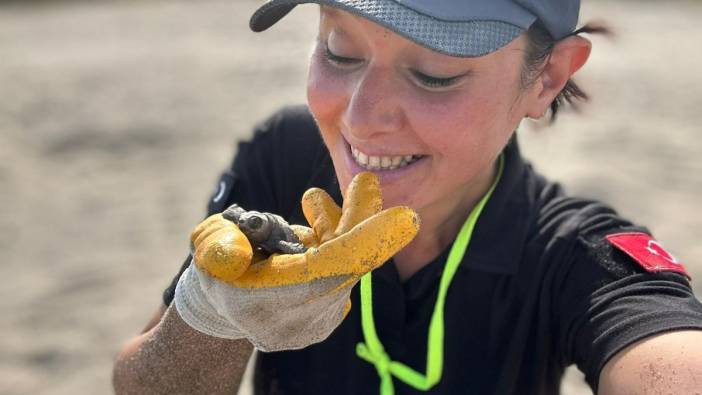 Antalya’dan yürekleri ısıtan görüntü! Yavru caretta carettaların denizle buluşması için nöbet tuttular