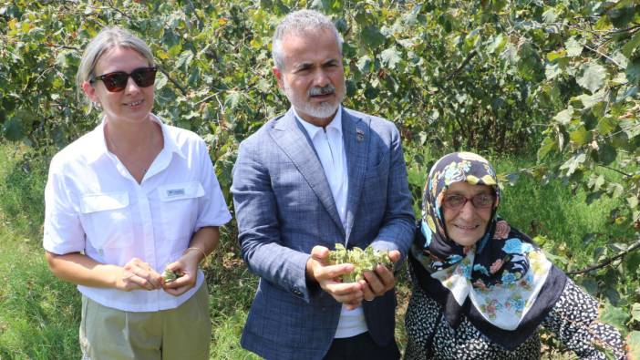 YRP’li Kılıç'tan fındık fiyatı açıklaması: 6 dolar ya da 250 TL üzerinde olmalıdır
