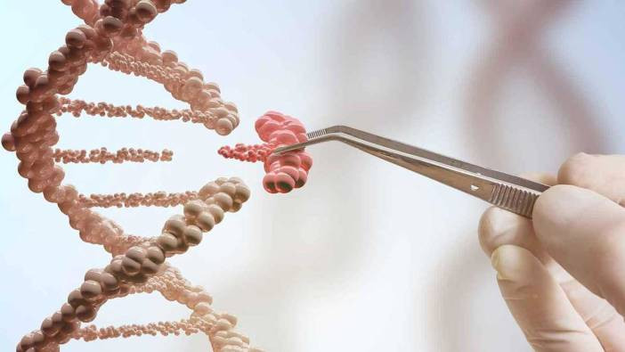 Bebeklerin zekası anne karnında tespit edilecek