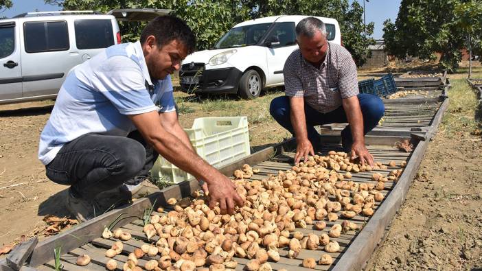 Sezonun ilk satışı yapıldı ve sembolik fiyat belli oldu!