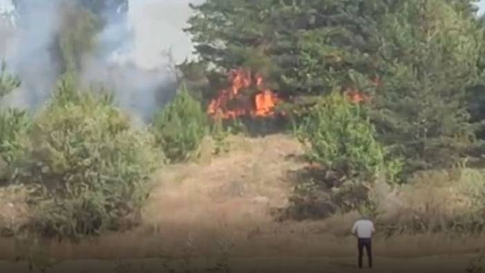 Karabük’te çıkan anız yangını kontrol altına alındı