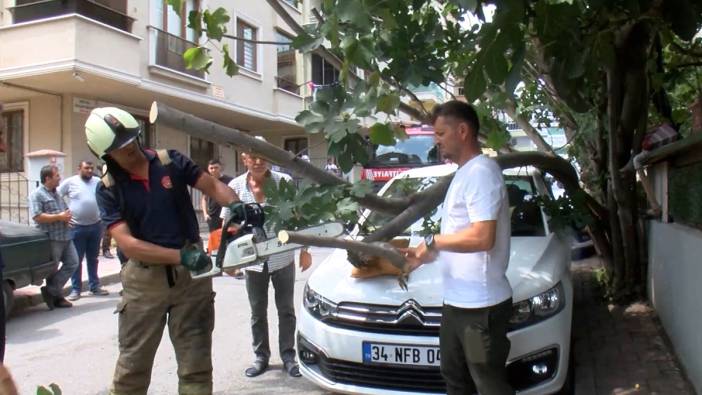 Çekmeköy’de görünmez kaza! Kamyonet ağaç çarptı
