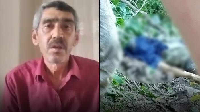 Gölköy'de kestiği ağacın altında kaldı, feci şekilde can verdi!